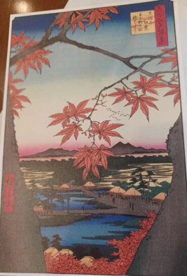 植物は背景